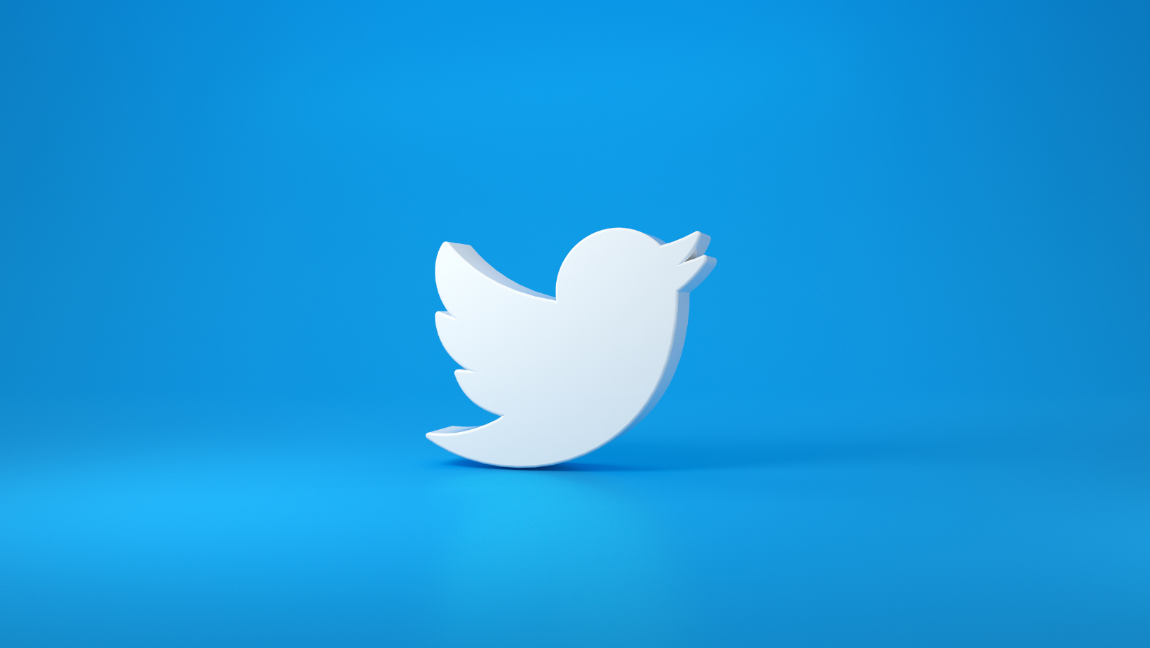 História do Twitter: o foco no usuário que salvou a rede
